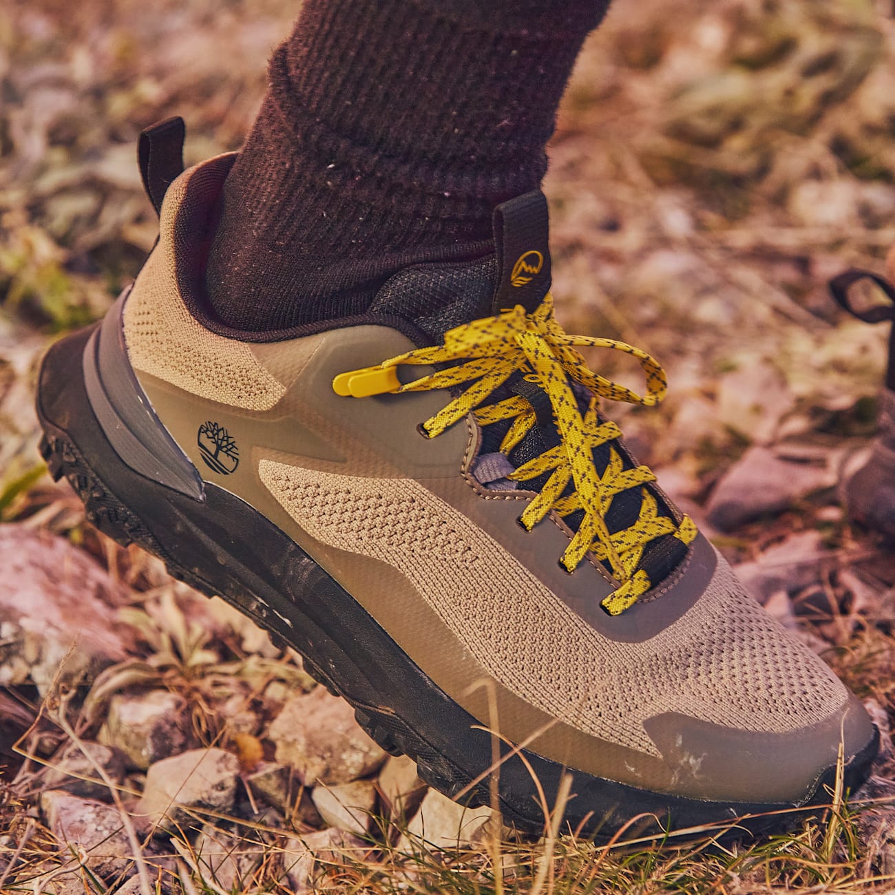 Timberland Motion Access Sneakers Basse da Uomo in Marrone Chiaro Timberland Motion Access Sneakers Basse da Uomo in Marrone Chiaro